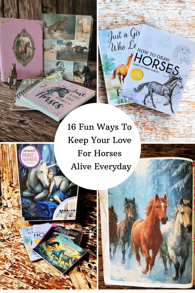 A collection of books and materials about horses, including drawing guides, painting by numbers, and themed journals, arranged on a rustic wooden surface.